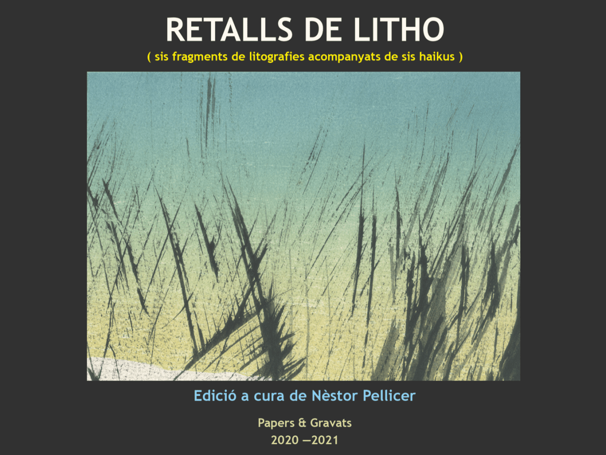 RETALLS DE LITHO