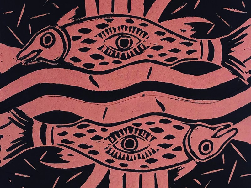 AIXÓ NO SÓN PEIXOS&nbsp;!